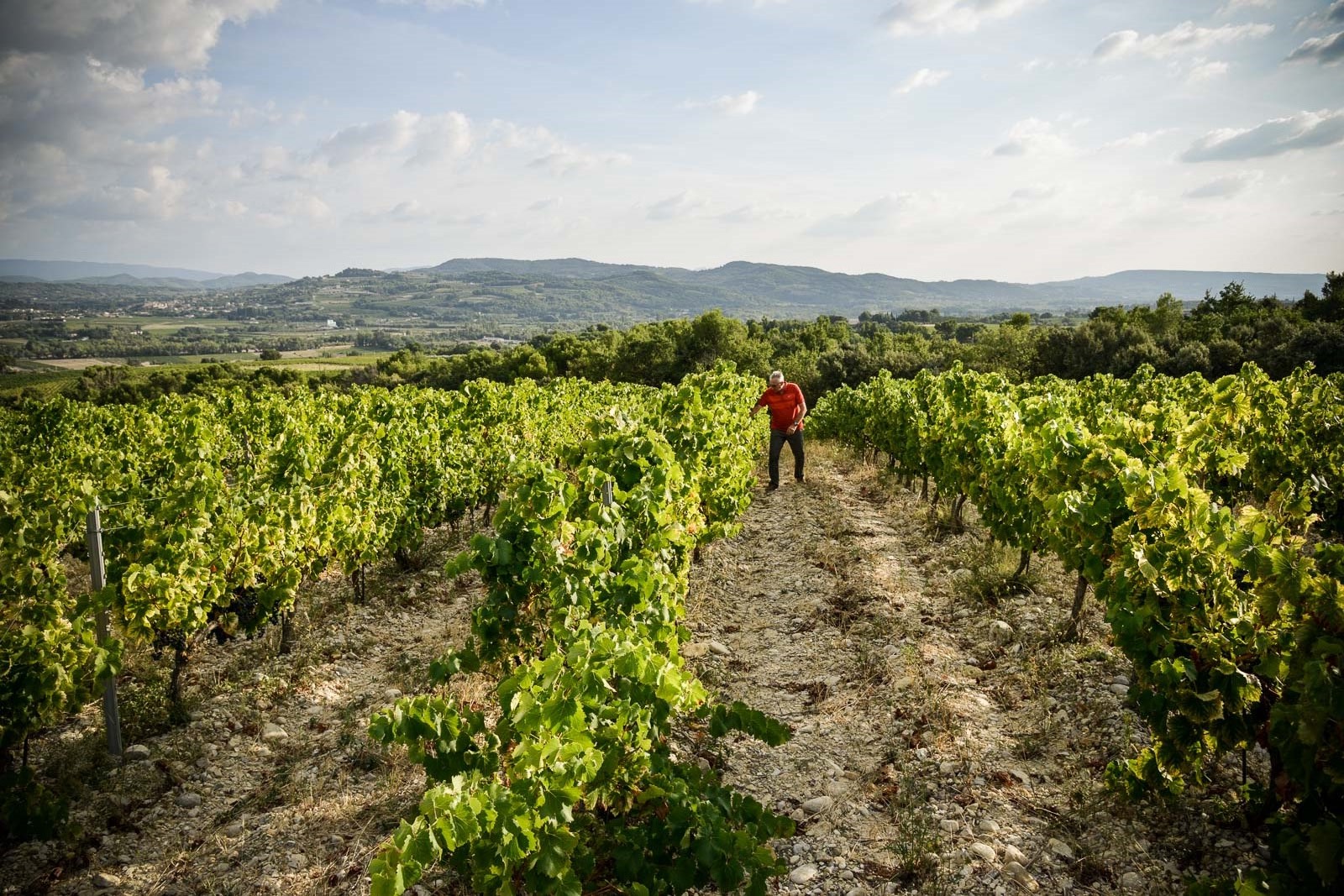 Saint-Vincent_008©EPerrincopieweb Saint-Vincent_008©EPerrincopieweb