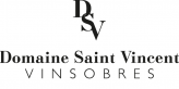 Logo DSV