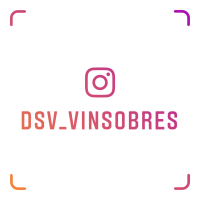 dsv_vinsobres_nametag